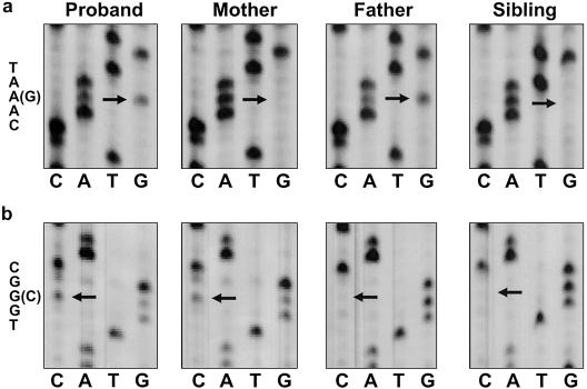 Figure  3