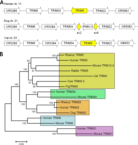 FIG. 1.