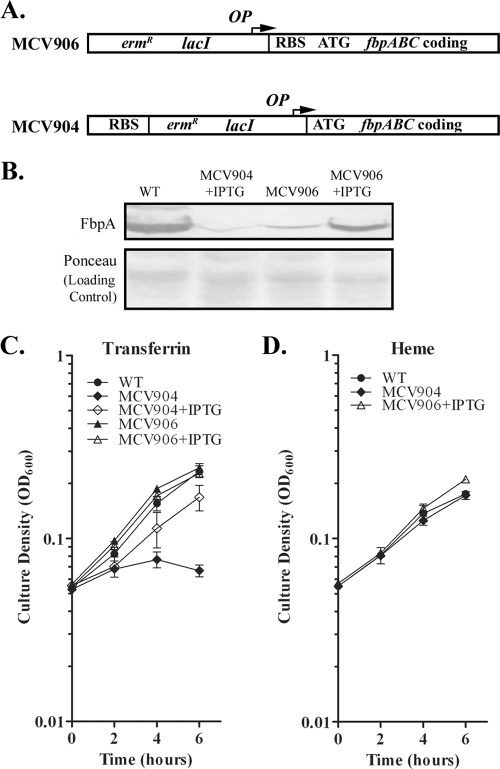 FIG. 6.