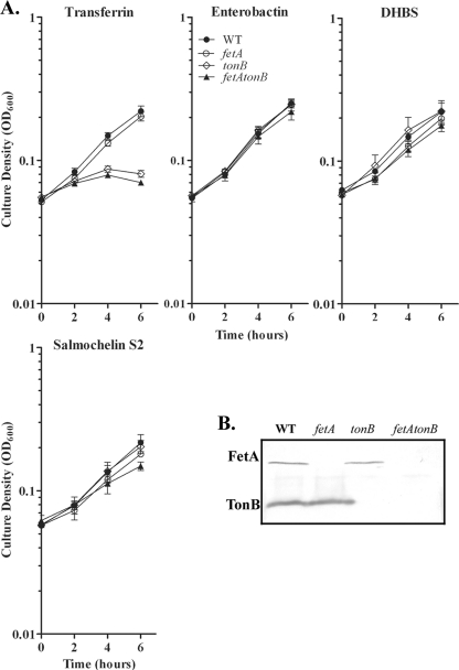 FIG. 3.