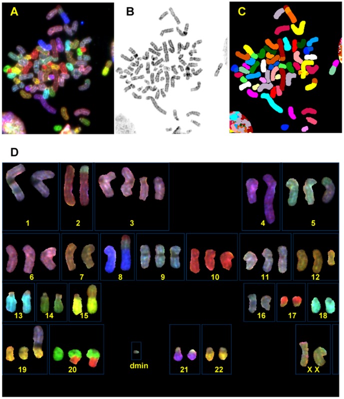 Figure 2