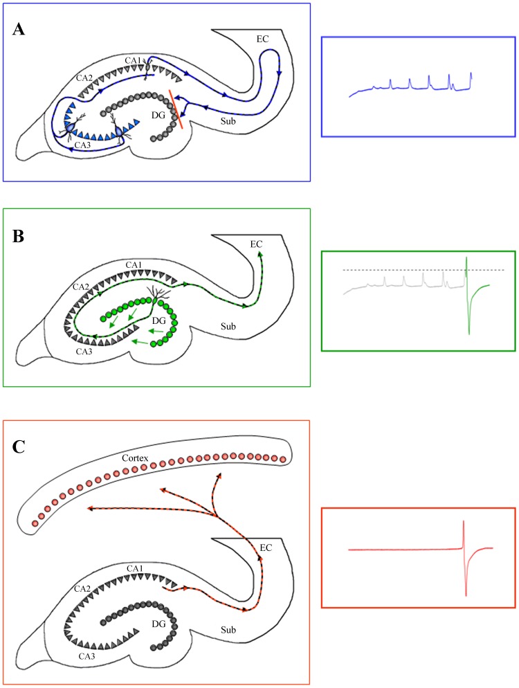 Figure 8