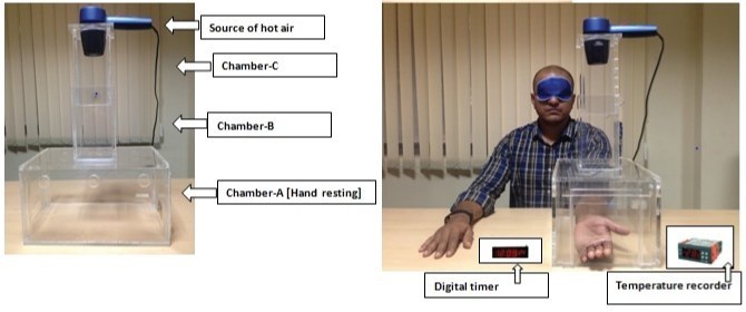 [Table/Fig-1]: