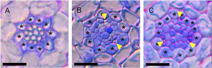 Fig. 3.