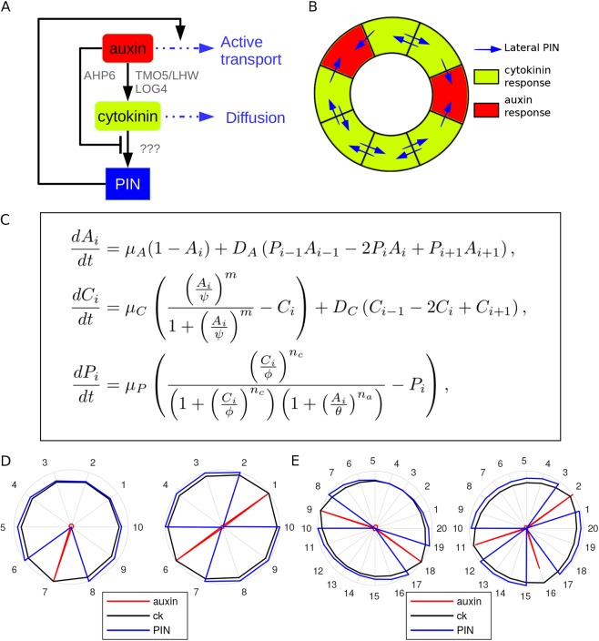 Fig. 4.