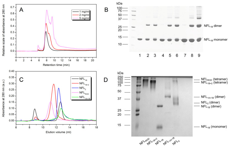 Figure 10