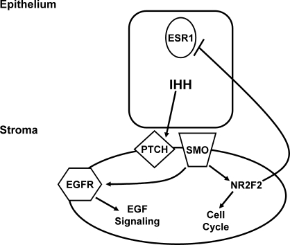 FIG. 6.