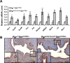 FIG. 4.