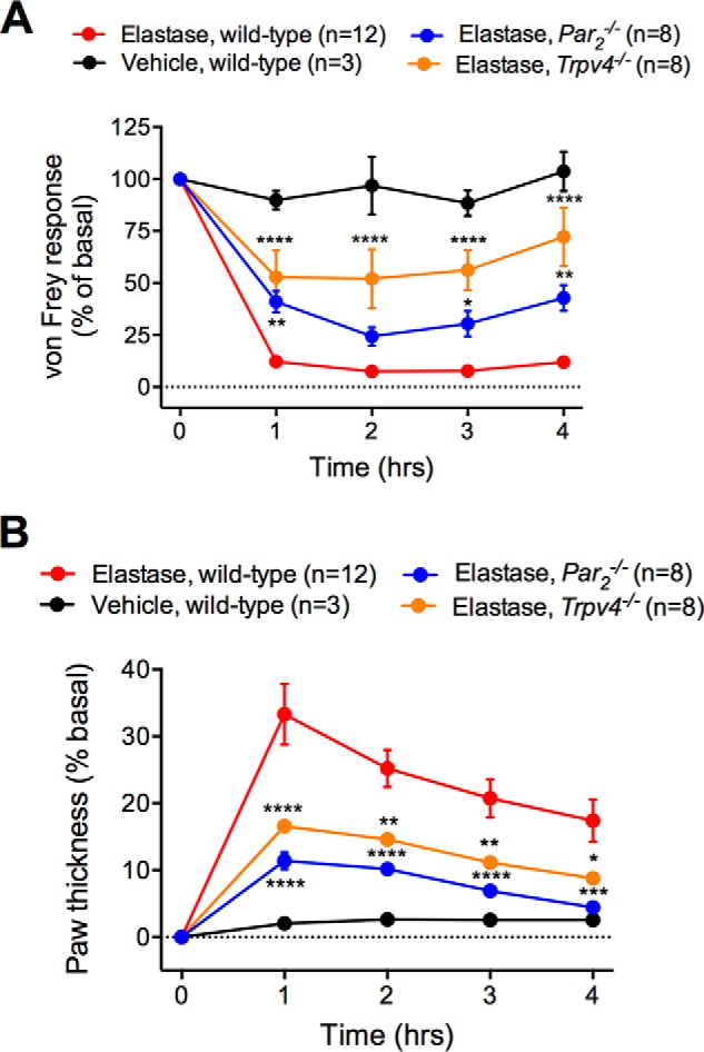 FIGURE 9.