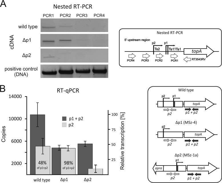 FIG 2