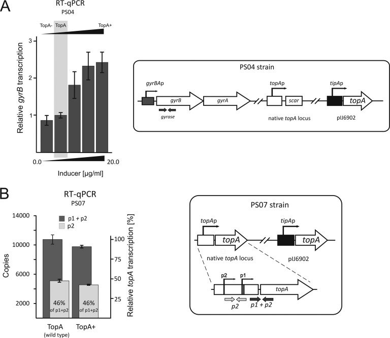 FIG 4