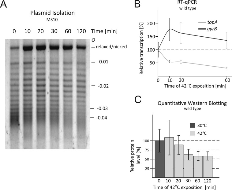 FIG 6