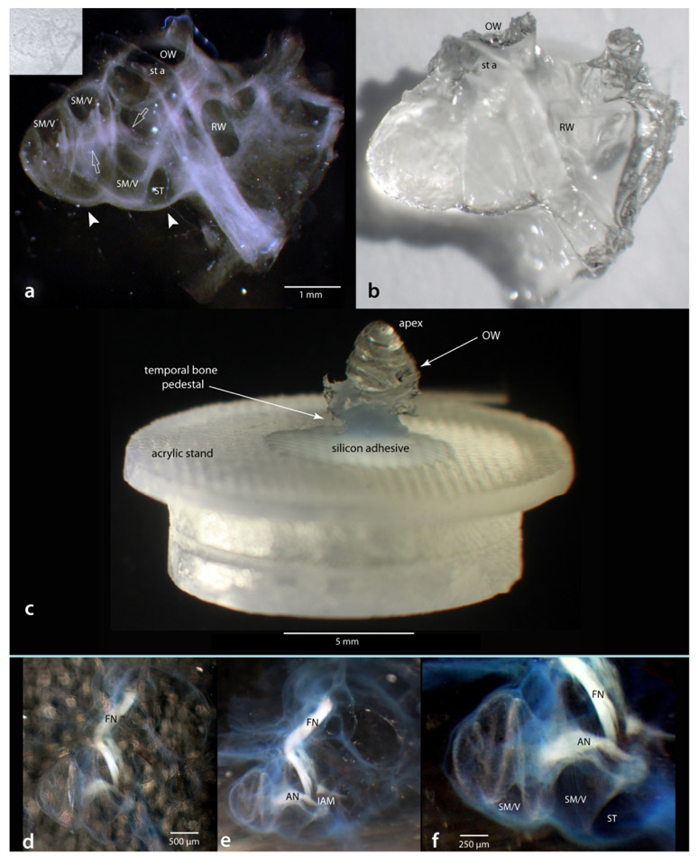 Figure 4.