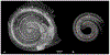 Figure 17.