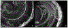 Figure 10.