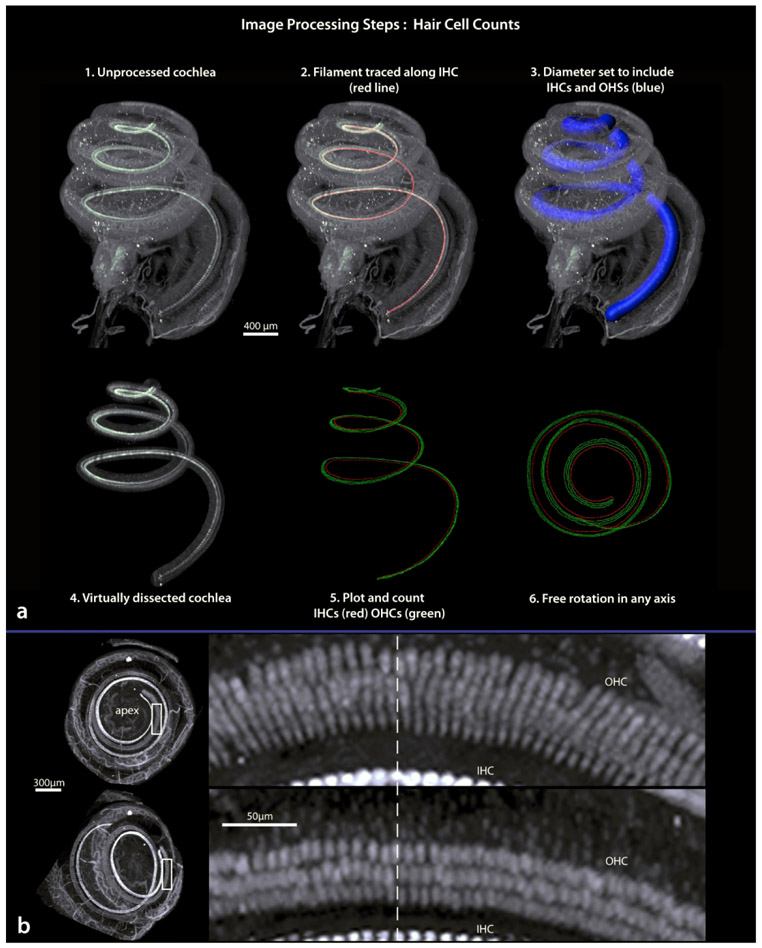 Figure 14.