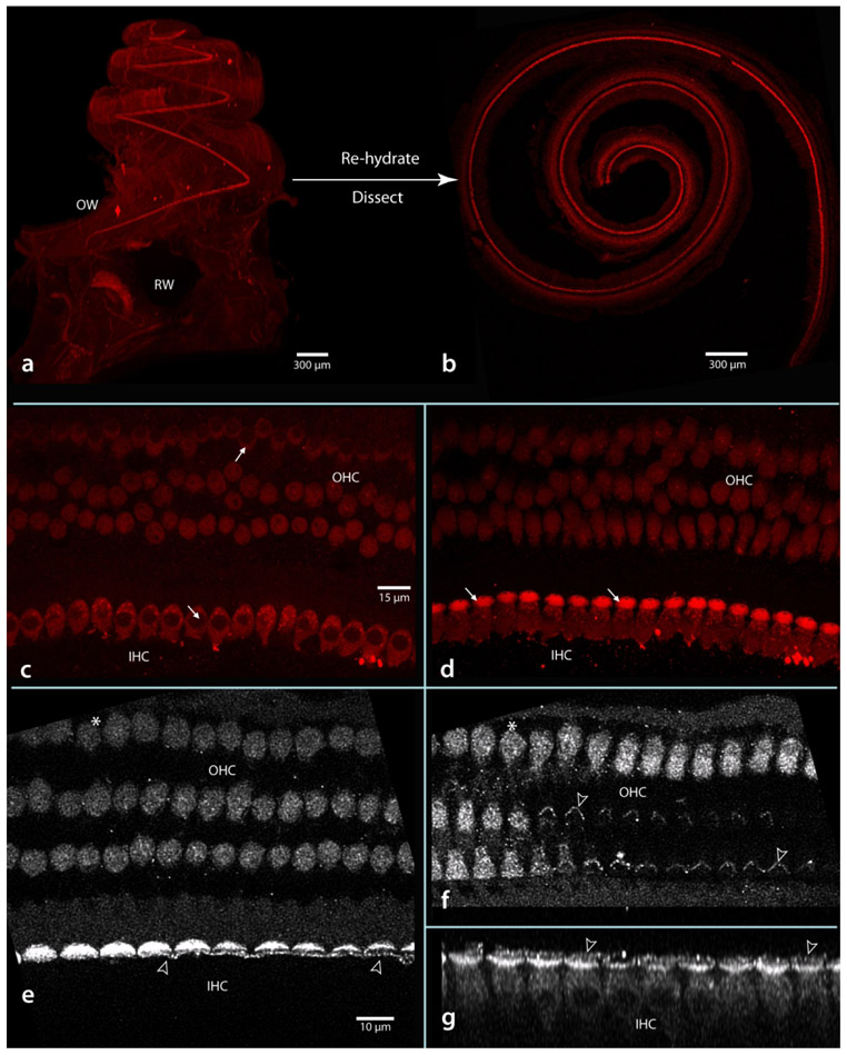 Figure 13.