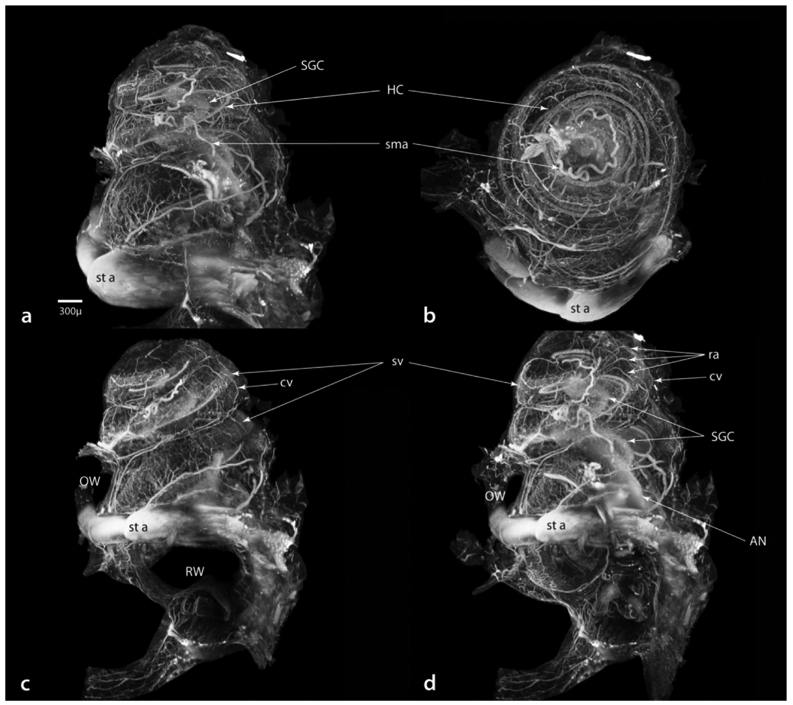 Figure 12.