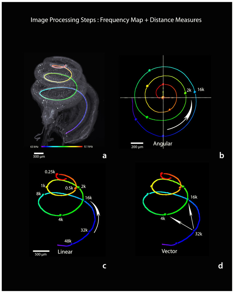 Figure 16.