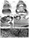 Figure 11.