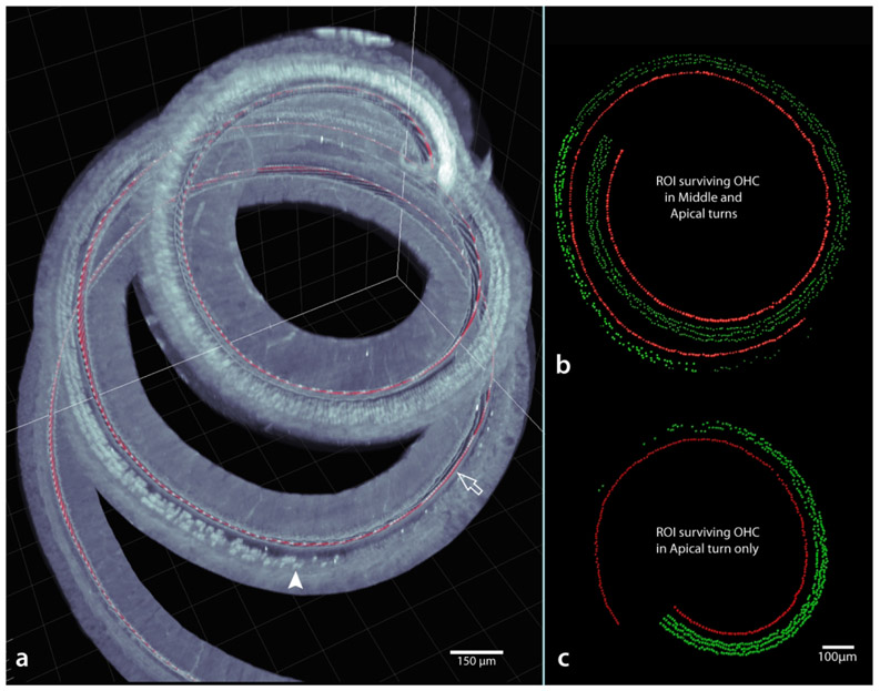 Figure 15.