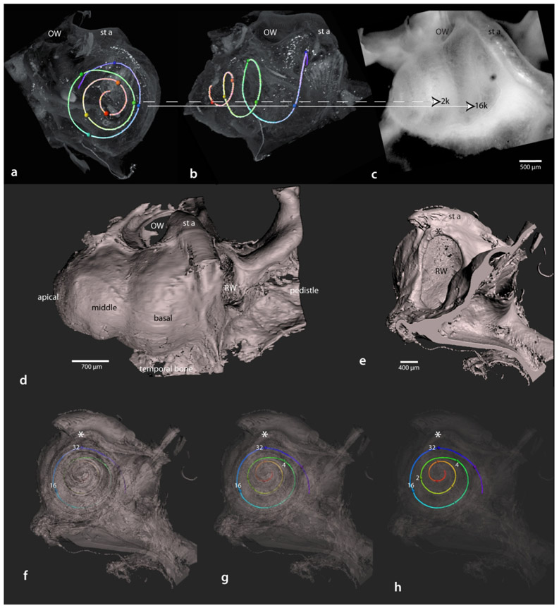 Figure 18.