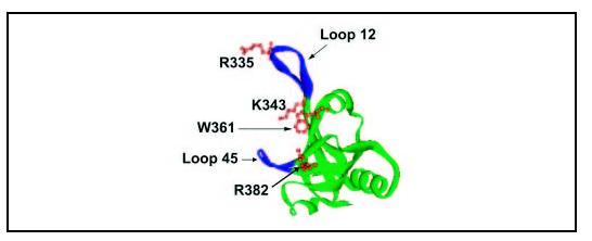 FIGURE 7.