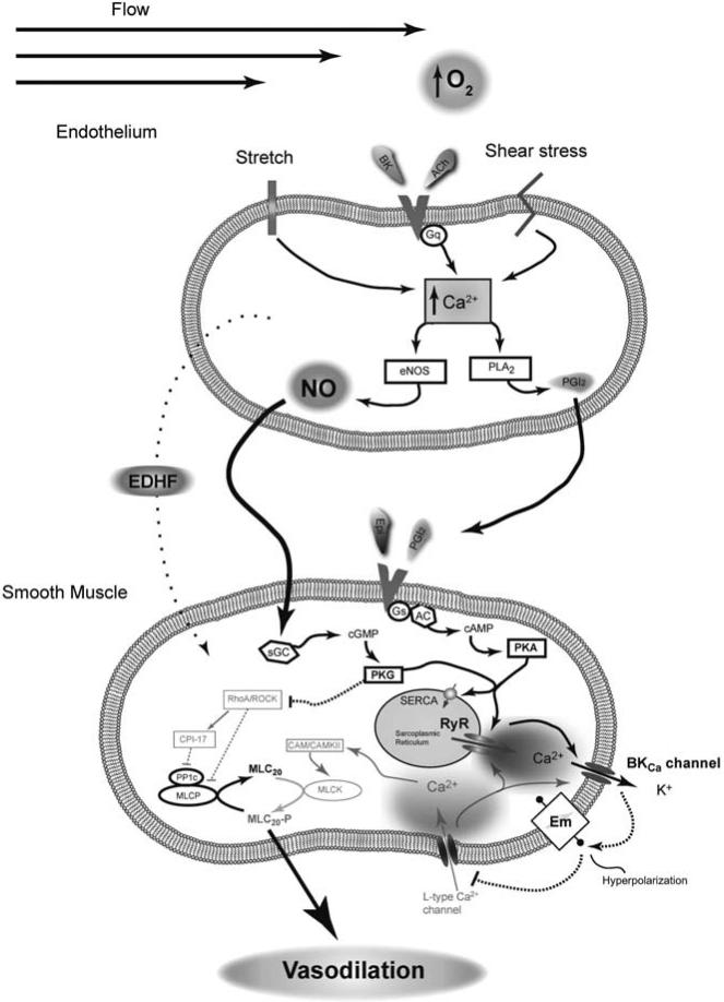 Fig. (3)