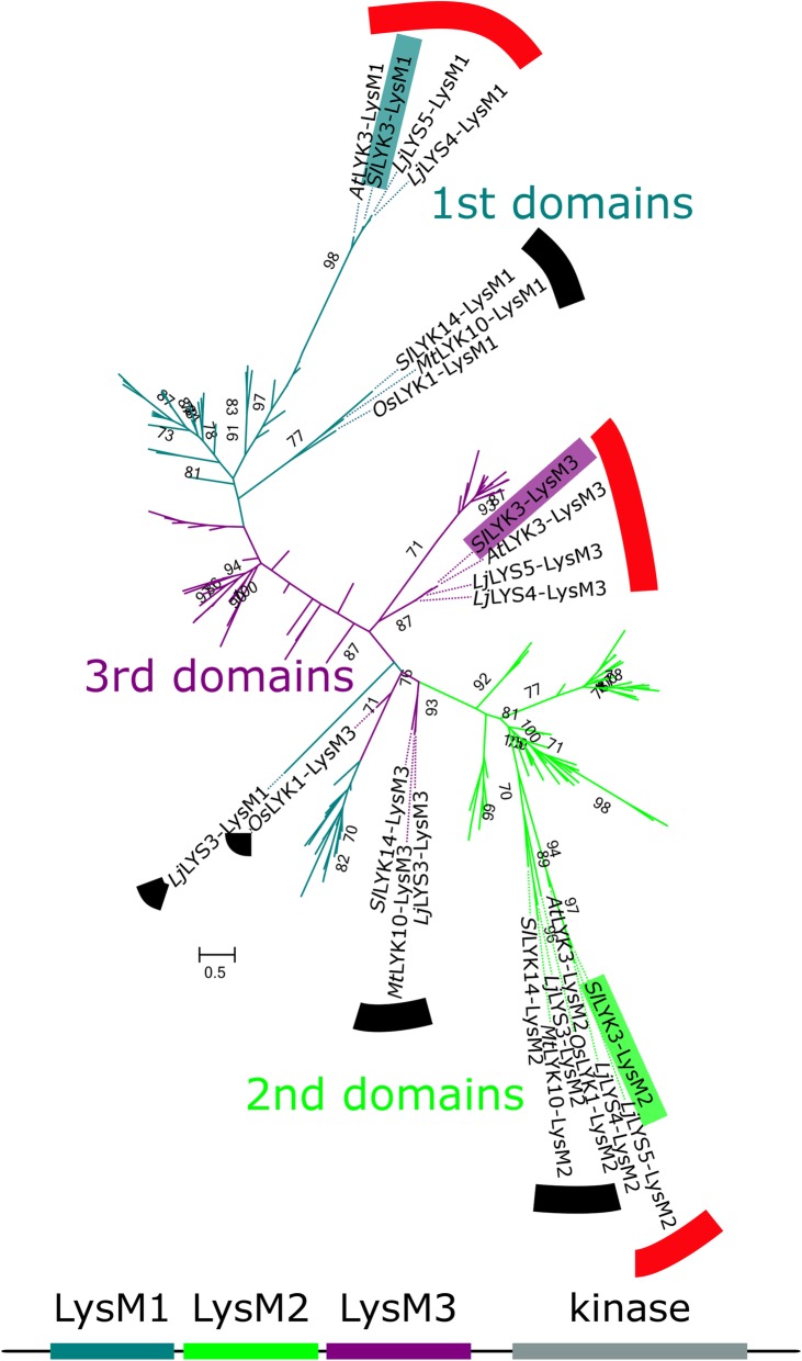 Fig. 3