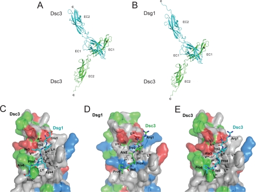 FIGURE 4.