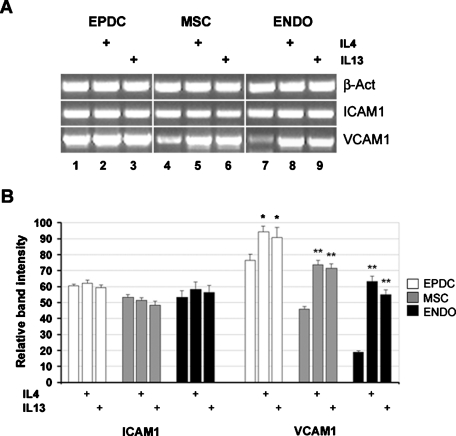 FIGURE 6: