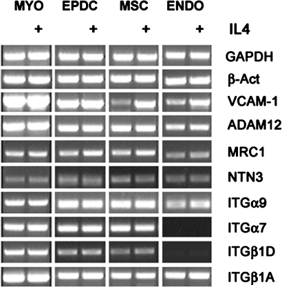 FIGURE 9: