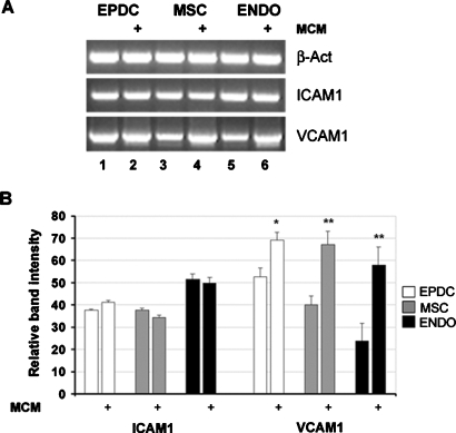 FIGURE 5: