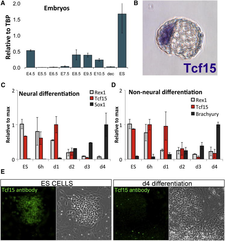 Figure 2