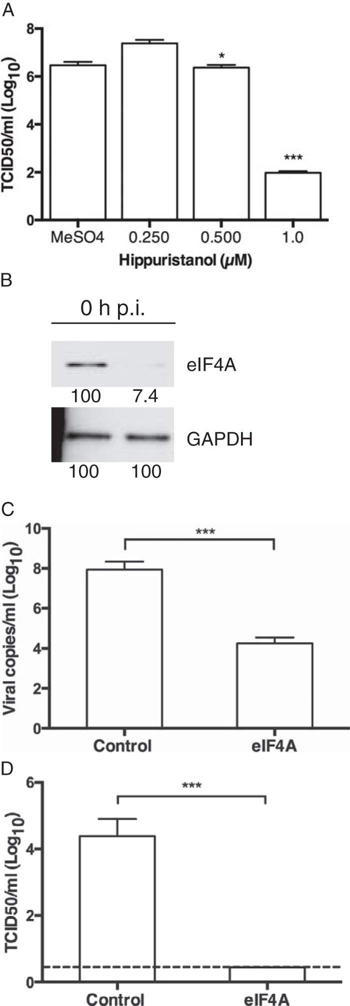 FIG 4