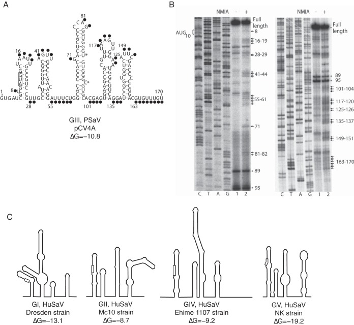 FIG 1