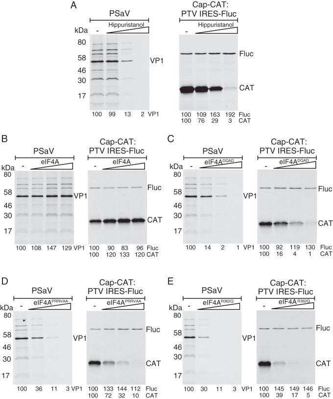 FIG 2