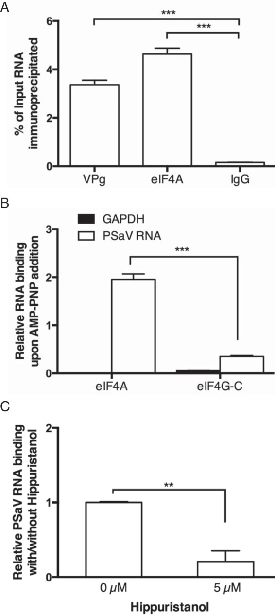 FIG 3