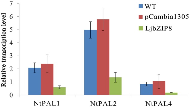 FIGURE 6