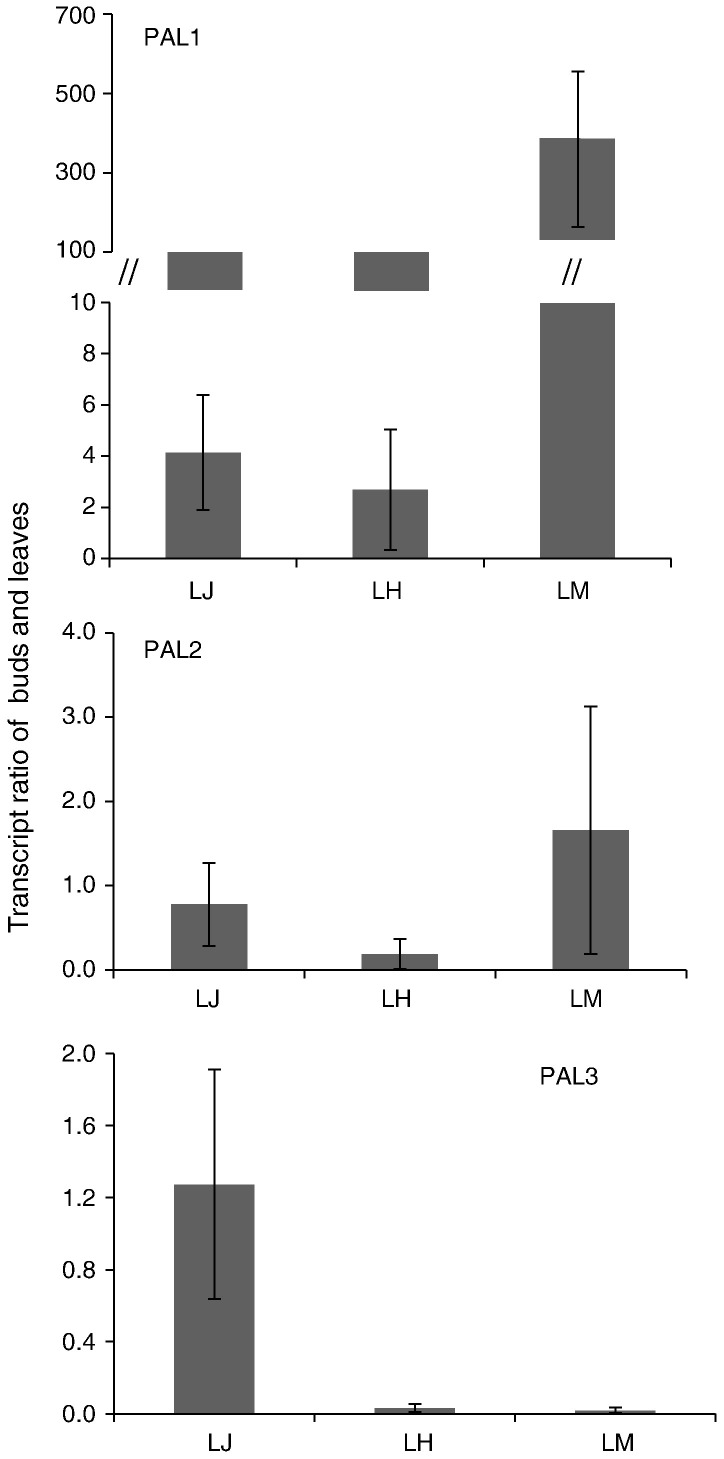 Fig. 4