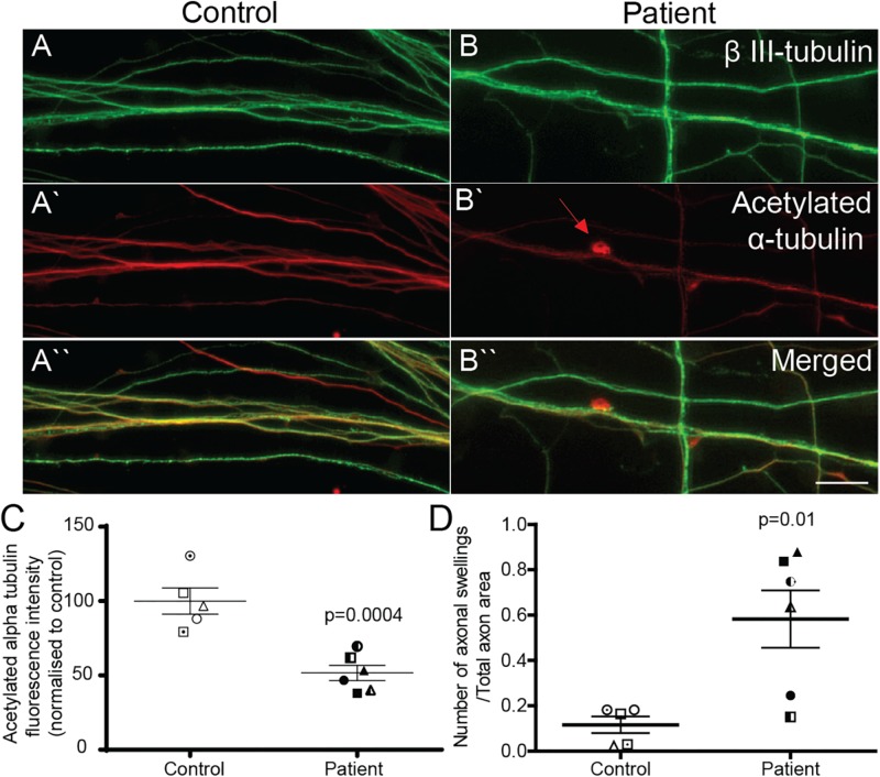 FIGURE 3