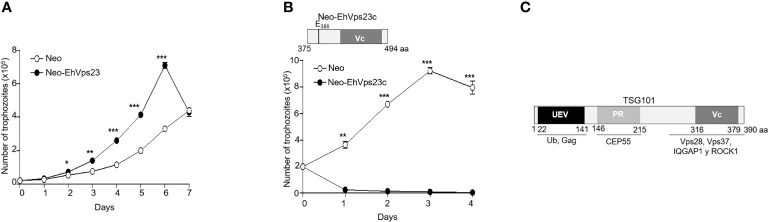 Figure 2