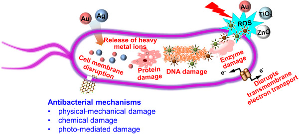 FIGURE 2