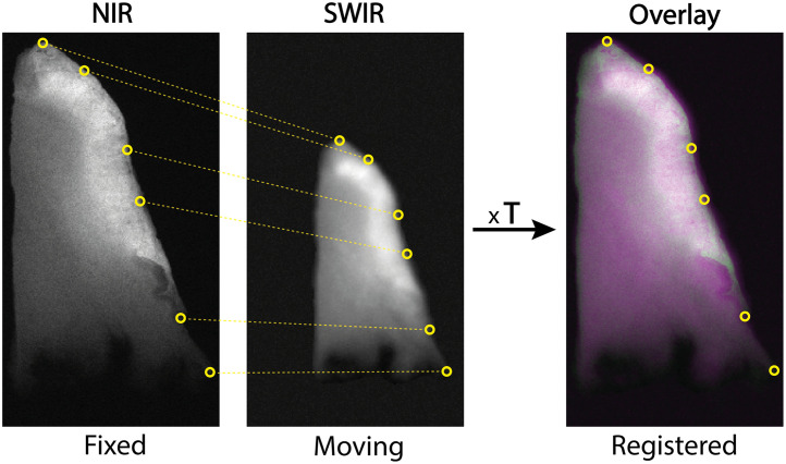 Fig. 2