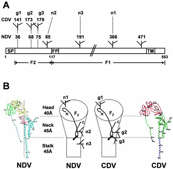 FIG. 4.