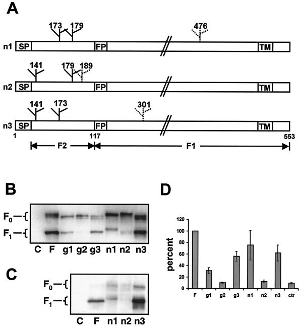 FIG. 5.