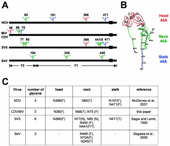 FIG. 6.