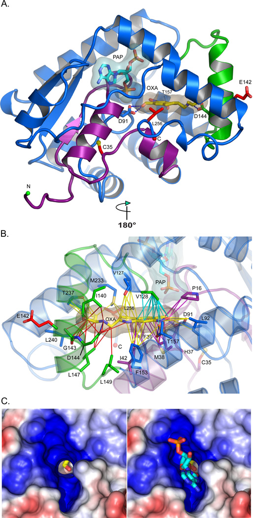 Fig. 3