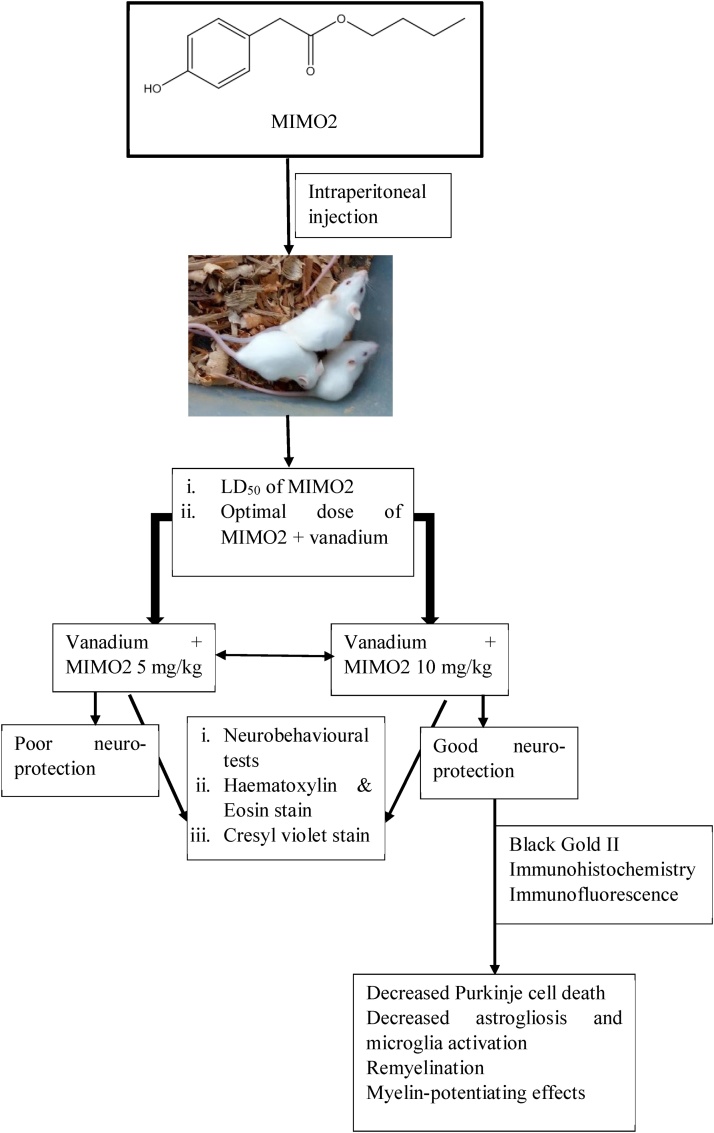 Fig. 19