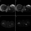 Fig. 11